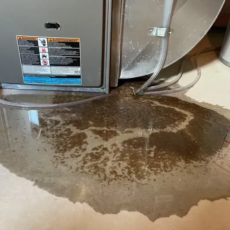 Appliance Leak Cleanup in Lindenhurst, IL